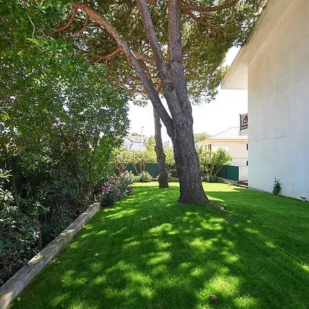 Central Holiday Home *